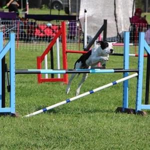 Meet your Posher, Lucia